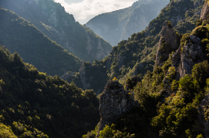 Βλάστηση στο φαράγγι του Ενιπέα