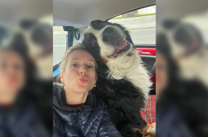 Σε βλέπω με το γατο-σκυλο-παιδί σου