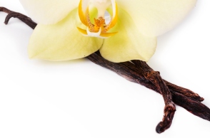 Μίξερ-Στέλιος Παρλιάρος: 12 συνταγές με βανίλια 