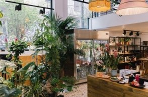 Polyamorous: Βανδάλισαν το ανθοπωλείο των Εξαρχείων