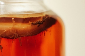 Παγκόσμια Ημέρα Κομπούτσας η 21η Φεβρουαρίου