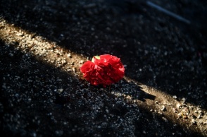 Γαρύφαλλο για την Εργατική Πρωτομαγιά