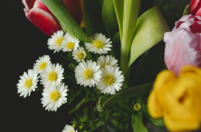 Εορτολόγιο: Σήμερα, 7 Μαρτίου 2024 γιορτάζει…