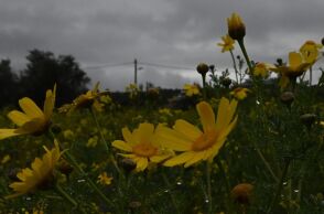 Πρόγνωση καιρού: Βροχές και καταιγίδες την Κυριακή 17 Μαρτίου - Σε φυσιολογικά για την εποχή επίπεδα η θερμοκρασία. 