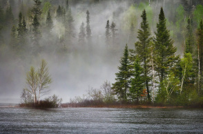 Η βιοποικιλότητα ίσως κρατά το κλειδί για το μέλλον του πλανήτη