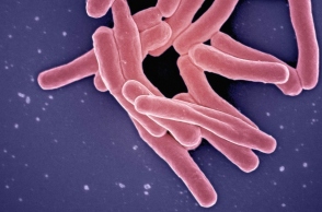 24 Μαρτίου, Παγκόσμια Ημέρα Φυματίωσης 2024