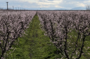 Καιρός σήμερα: Υψηλές θερμοκρασίες και σκόνη 