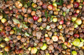 Food waste: Ένα δισ. γεύματα κάθε μέρα στα σκουπίδια 
