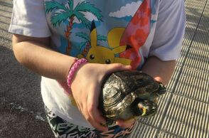 Ηράκλειο: Στο σχολείο με τα κατοικίδιά τους οι μαθητές του 4ου δημοτικού Νέας Αλικαρνασσού - με αφορμή την παγκόσμια ημέρα αδέσποτων ζώων.