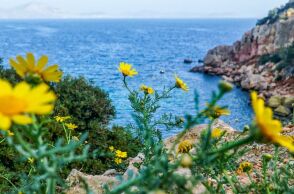 Πρόγνωση καιρού: Ηλιοφάνεια και μικρή άνοδος θερμοκρασίας την Κυριακή 7 Απριλίου - Τοπικές βροχές και μεμονωμένες καταιγίδες.