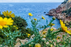 Μία ανοιξιάτικη ημέρα με λουλούδια και φόντο τη θάλασσα