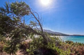 Τοπίο στη θάλασσα με ηλιοφάνεια