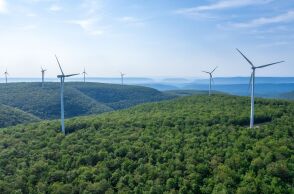 ΔΕΗ: Συνεργασίες και δεσμεύσεις για την ανάπτυξη της βιωσιμότητας