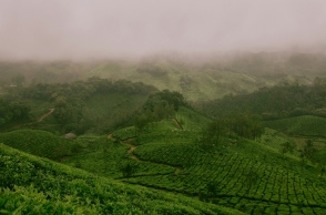 Περιβαλλοντικές δράσεις της ΔΕΗ