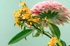 Εορτολόγιο: Σήμερα 18 Απριλίου 2024 γιορτάζει…