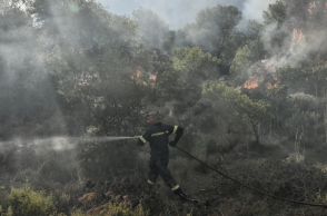 Πυρκαγιές: Αύξηση σχεδόν 22% τους πρώτους 5 μήνες του 2024 σε σχέση με πέρυσι