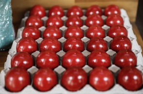 Βαμμένα κόκκινα αυγά