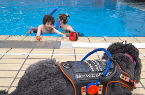 Σκύλος βοηθός: Η ιστορία του Αντώνη Γκούφα και της Bubbles, το έλλειμμα ενημέρωσης και η ανάγκη συμπερίληψης