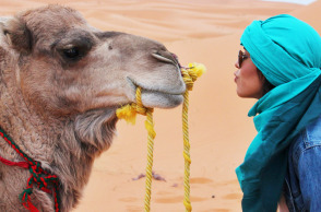 Ελεύθερος ταξιδιώτης