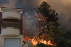 Πυροπροστασία: Παράταση έως 21 Ιουνίου για τα δασικά ακινήτα
