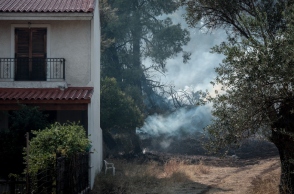 Πυροπροστασία: Οδηγός για τα δασικά ακίνητα και ακαθάριστα οικόπεδα 