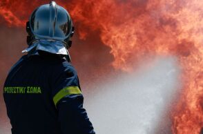 Χαλκιδική: Σε εξέλιξη φωτιά κοντά στην Κασσανδρεία - Απειλείται φωτοβολταϊκό πάρκο - Ισχυρές δυνάμεις της Πυροσβεστικής επιχειρούν στο σημείο.