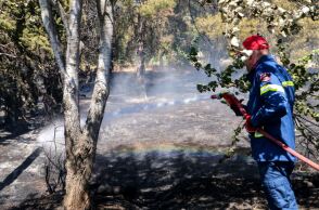 Πυροσβέστης επιχειρεί σε πυρκαγιά