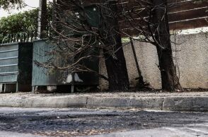 Επίθεση στο σπίτι της προέδρου του Αρείου Πάγου: Καταδικάζει ο δικηγορικός και δικαστικός κόσμος - «Η βία δεν έχει θέση στη Δημοκρατία και στο Κράτος Δικαίου»