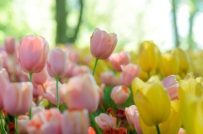 Εορτολόγιο: Σήμερα 2 Ioυλίου 2024 γιορτάζει…