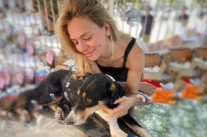 Αντικρουόμενη φιλοζωία: Βρήκα ένα ζώο, να το ανεβάσω ή θα πέσουν να με φάνε;