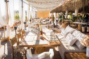 The Lemon Tree and Co.