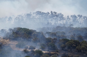 Φωτιά στη Λέσβο: Χωρίς ενεργό μέτωπο η φωτιά στο Μανταμάδο