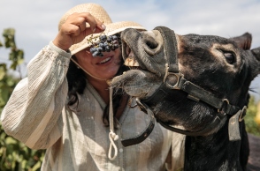 terra_grazia-_to-paradosiako-oinopoieio-tisnaxou