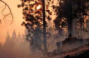 Πολύ υψηλός κίνδυνος φωτιάς σε Αττική και άλλες 9 περιοχές σήμερα 23.8