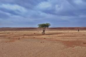 Λειψυδρία: Ο Φανοίκος Σακελλαράκης και η Μιράντα Βατικιώτη μιλούν για το έργο Med-RESET της Medina και το πώς μπορεί να δώσει λύσεις στο πρόβλημα.