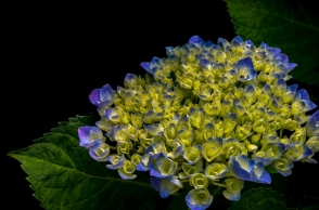 Εορτολόγιο: Σήμερα 15 Νοεμβρίου 2024 γιορτάζει…