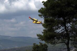 Φωτιά στην Καρδίτσα: Σε δάσος κοντά στη Λίμνη Πλαστήρα - Ισχυρές δυνάμεις της Πυροσβεστικής, στη μάχη και εναέρια μέσα. 