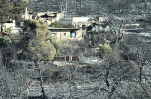 Λέκκας για φωτιά Αττική: Γιατί είναι δύσκολο να ελεγχθεί σε αστικό χώρο