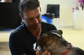 Στέφανος Κασσελάκης: Ο πρόεδρος του ΣΥΡΙΖΑ κίνησε τη διαδικασία για τη φιλοξενία και την υιοθεσία σκύλου από τη δομή φιλοξενίας στο Γαλάτσι.