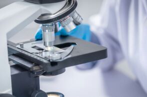 Ηλεία: Νέα δεδομένα στα αίτια θανάτου του 48χρονου «βλέπει» η ιατροδικαστής - Φέρεται να κατέληξε από διεισδυτικό στρεπτόκοκκο και όχι από τσίμπημα αράχνης.