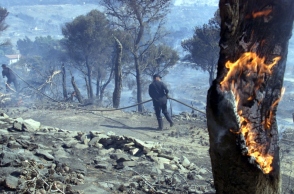 August Voice - Ημερολόγια Αυγούστου: Οι συνεργάτες της Athens Voice γράφουν για το δικό τους καλοκαίρι.