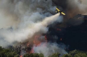 Πυροσβεστική: 30 πυρκαγιές το τελευταίο εικοσιτετράωρο σε όλη τη χώρα - Σε ποιες περιοχές συνεχίζεται η μάχη με τις φλόγες.