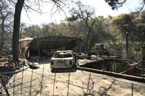 Φωτιά στην Αττική: Κάνουν πλιάτσικο στα καμμένα 