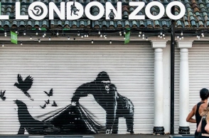 Ο ζωολογικός κήπος του Λονδίνου αφαίρεσε το τελευταίο έργο του Banksy