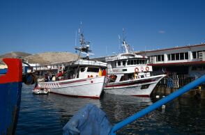 Αστυνομικοί έσωσαν χθες το βράδυ έναν άνδρα στη Δραπετσώνα που κινδύνευε με πνιγμό	