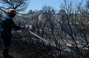 Φωτιά στην Πρέβεζα: Υπό έλεγχο η πυρκαγιά
