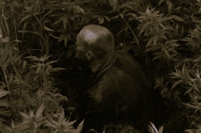 Το hype με τον Ταρκόφσκι, και όσα δεν έκανα στη ζωή μου