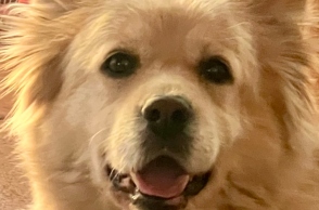 Καλοκαίρι: Αναγνώσεις, αναρρώσεις, απώλειες