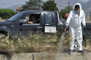 Ιός Δυτικού Νείλου: 22 νέα εγχώρια κρούσματα κατά τη διάρκεια της τελευταίας εβδομάδας - 8 θάνατοι ασθενών - Η ενημέρωση του ΕΟΔΥ.