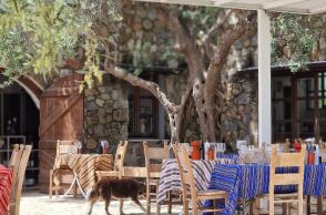 Οινοποιείο Μανουσάκη